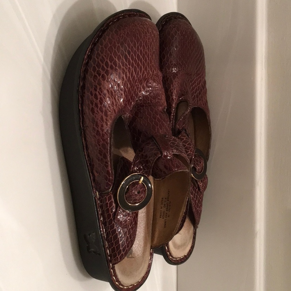 Alegria Shoes